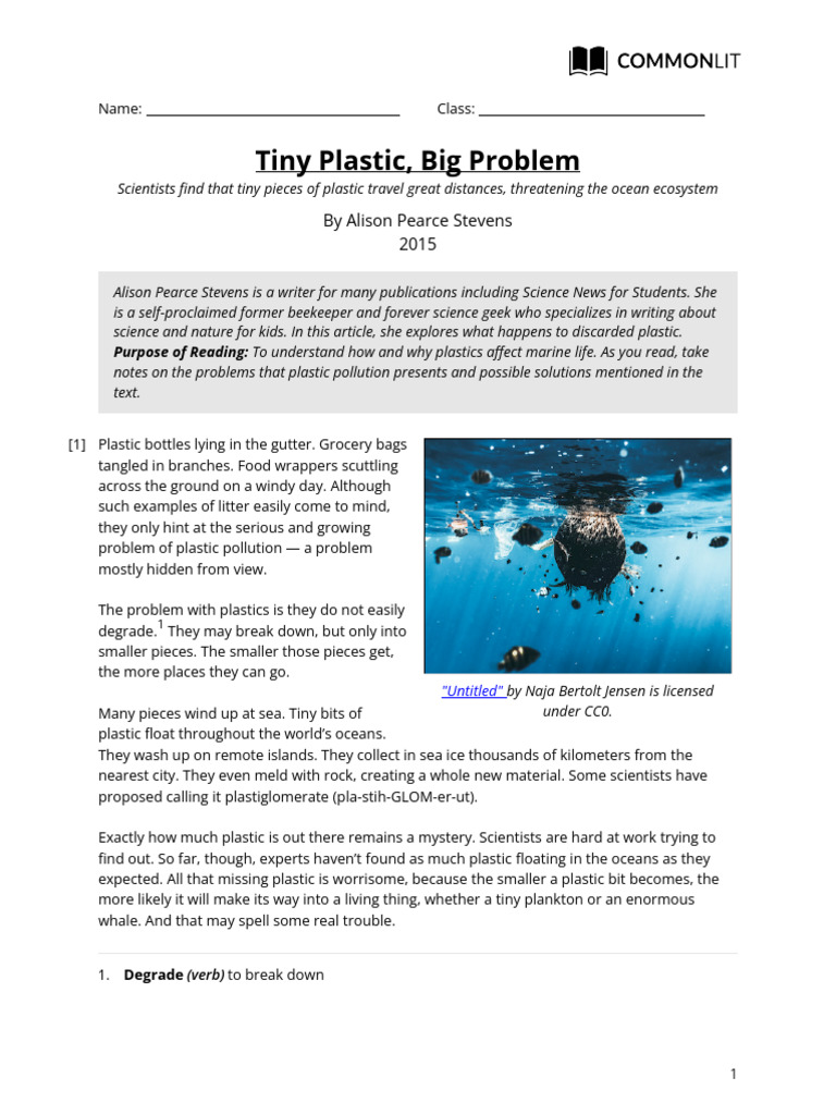 Microplastics: Ocean Pollution Insights | PDF | Plastic | Sea