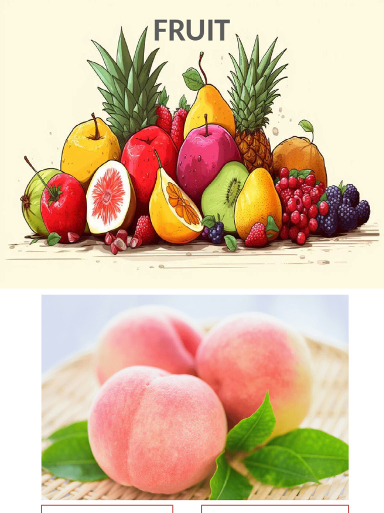 Fruit Vocabulary and Favorites Guide | PDF