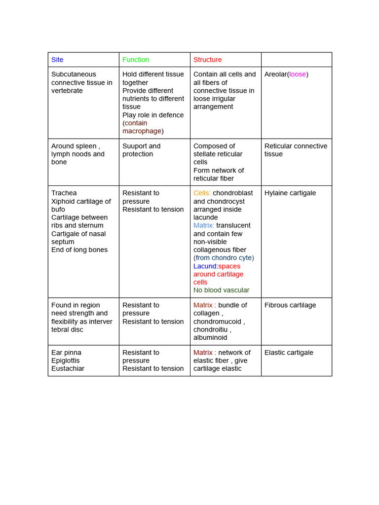 Connective Tissue | PDF