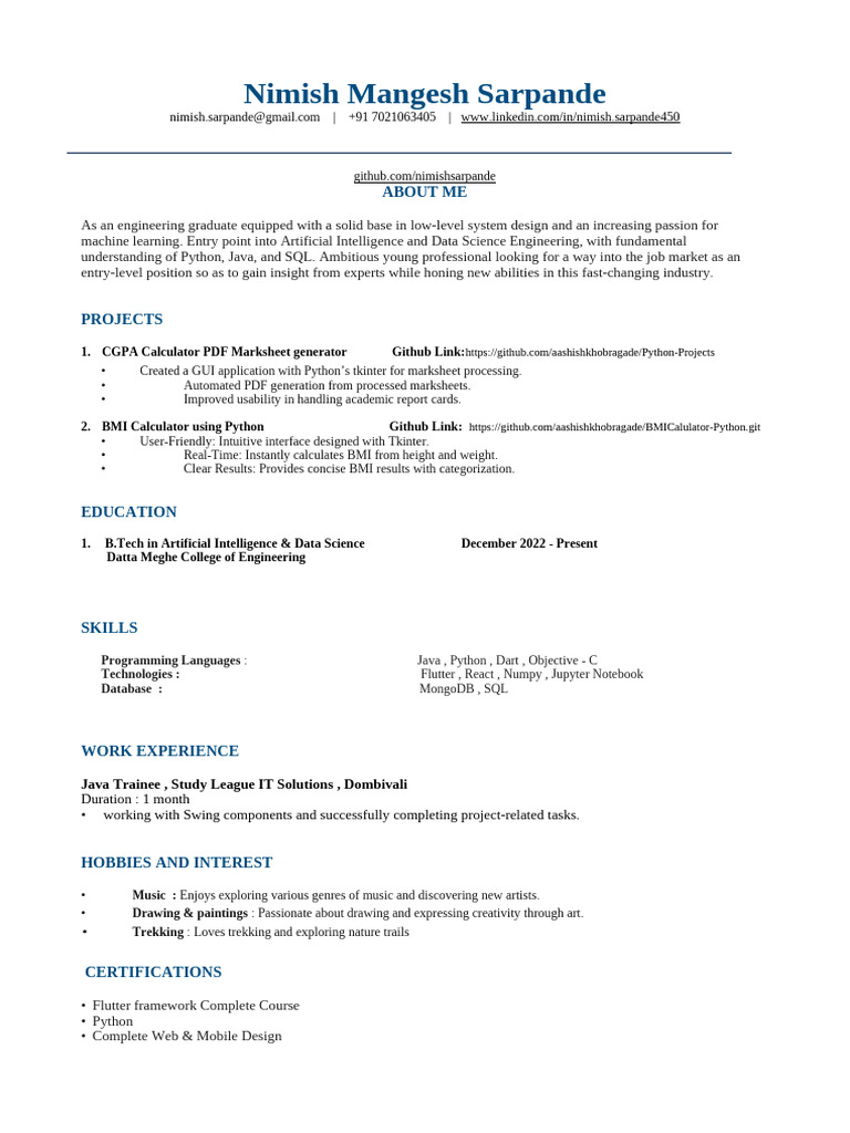 BMI Calculator Project Overview | PDF