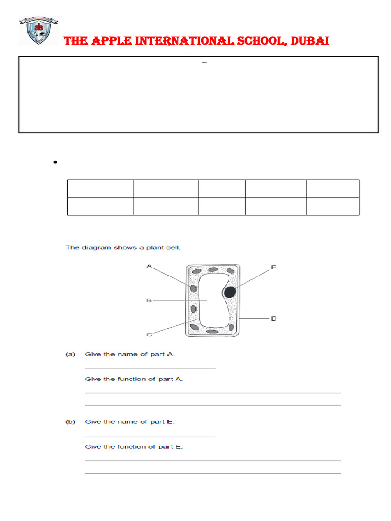 Year 7 Science Revision Worksheet | PDF | Physical Sciences