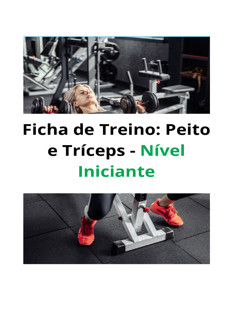 Ficha de Treino Peito e Traceps - 20241119 - 155616 - 0000 | PDF