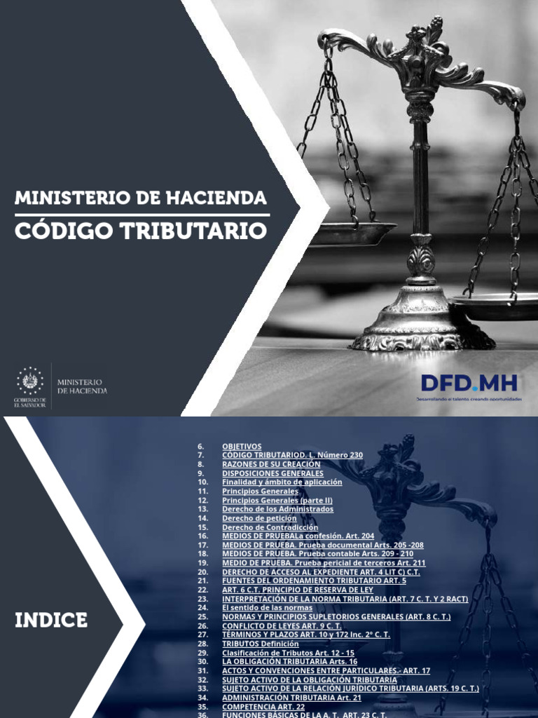 Código Tributario: Obligaciones y Principios | PDF | Estatuto de ...
