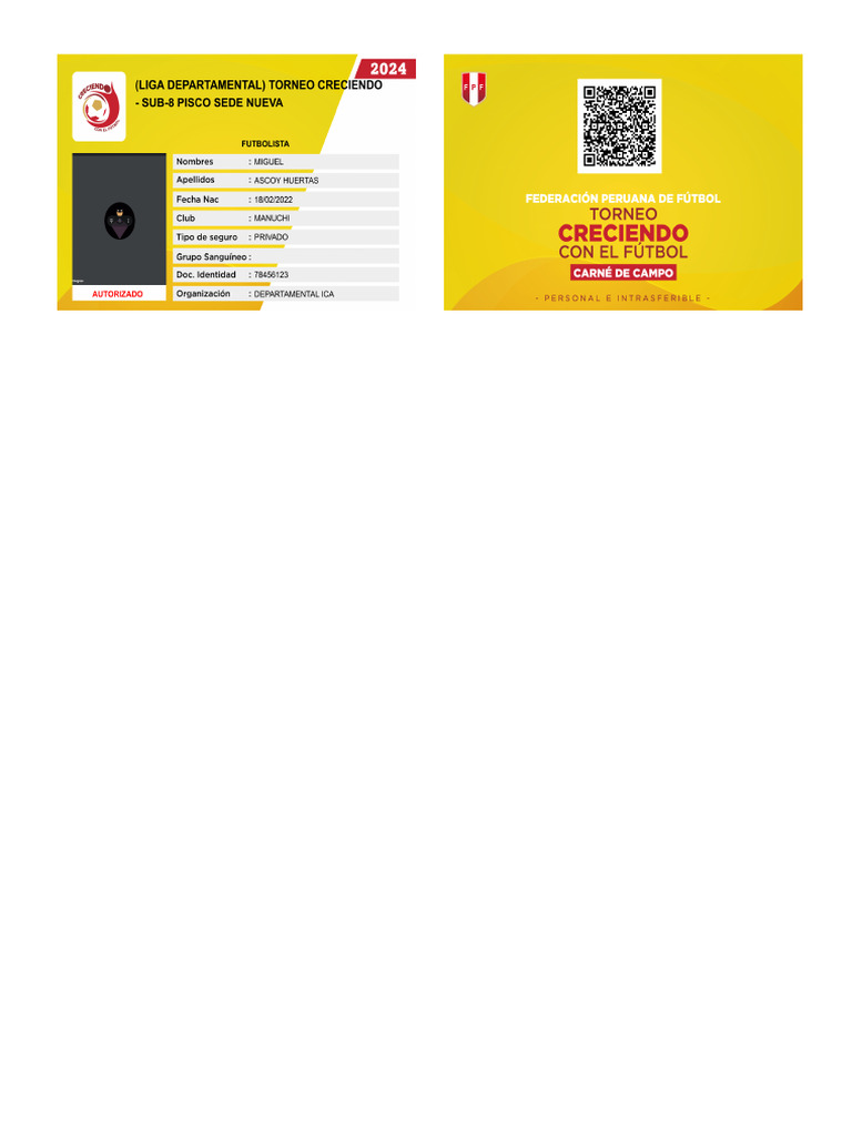 Carnet | PDF