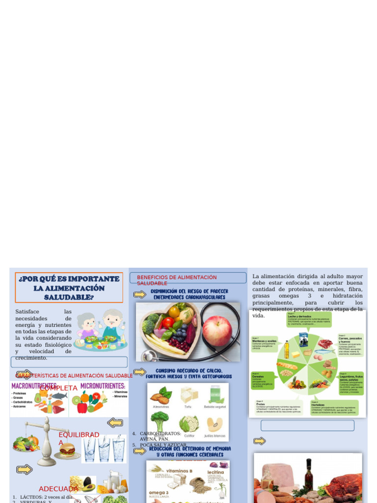 Alimentación Saludable para Adultos Mayores | PDF | Alimentos | Fruta