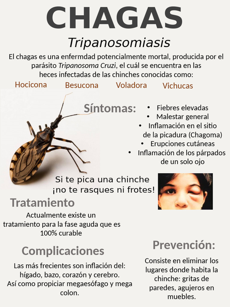 Picadura de Vinchuca y Chagas | PDF