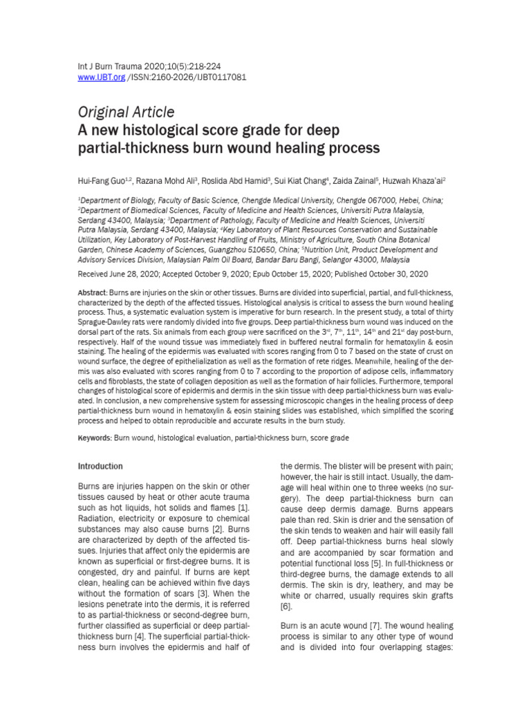 A New Histological Score Grade For Deep | PDF | Burn | Wound