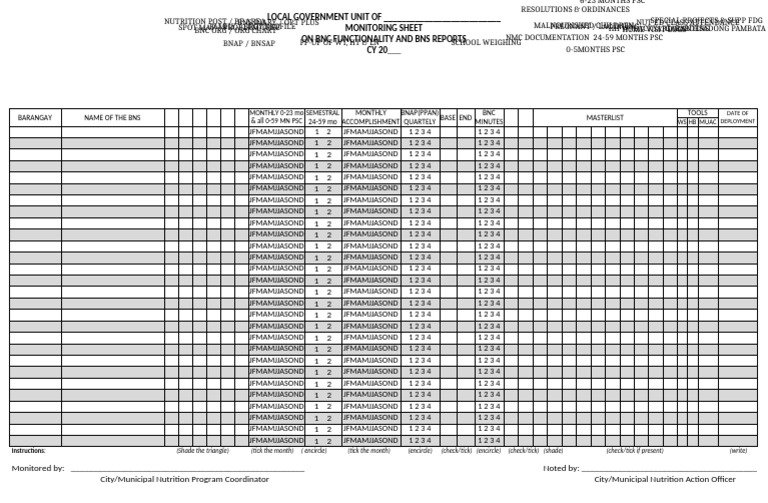 BNC Functionality Monitoring Sheet | PDF