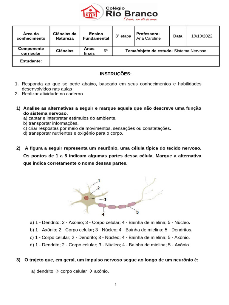 Atividades sobre Sistema Nervoso 6º Ano | PDF | Sistema nervoso central ...