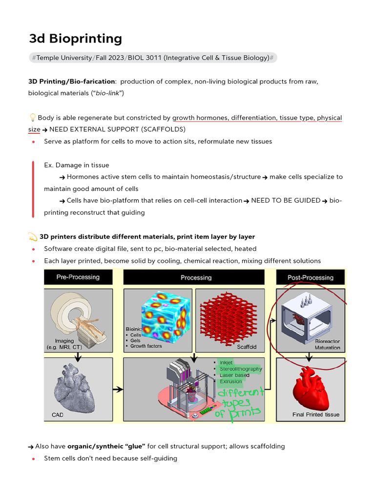 Temple University BIOL 3011: 3D Bioprinting | PDF | Stem Cell | Biomaterial