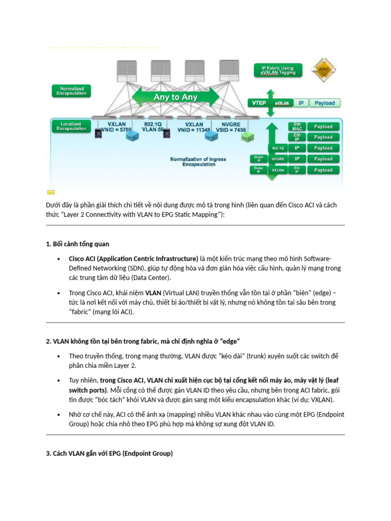 Dịch migrating - existing - networks - to - aci | PDF