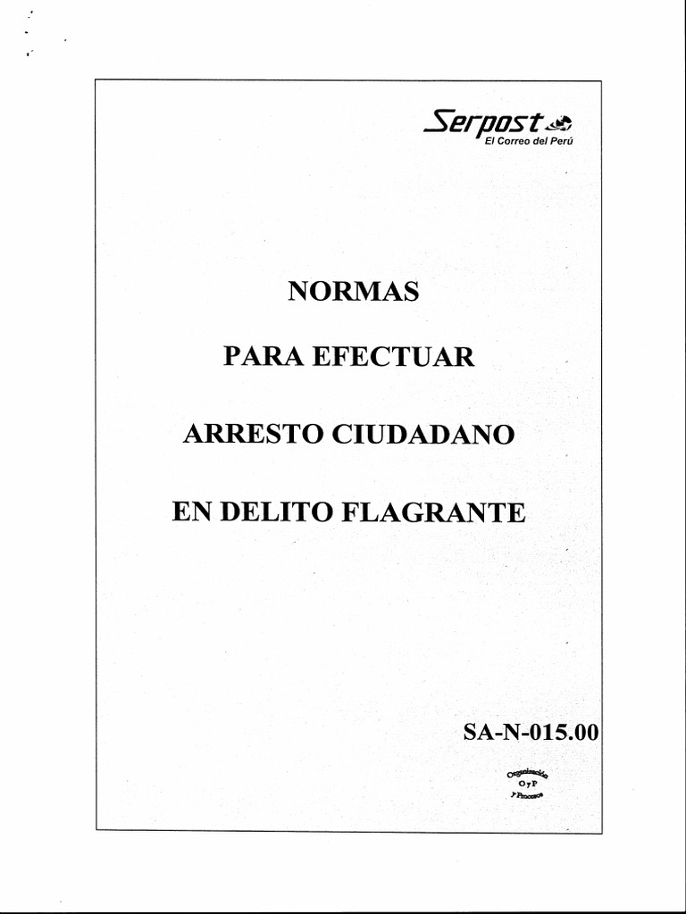 Arresto Ciudadano | PDF