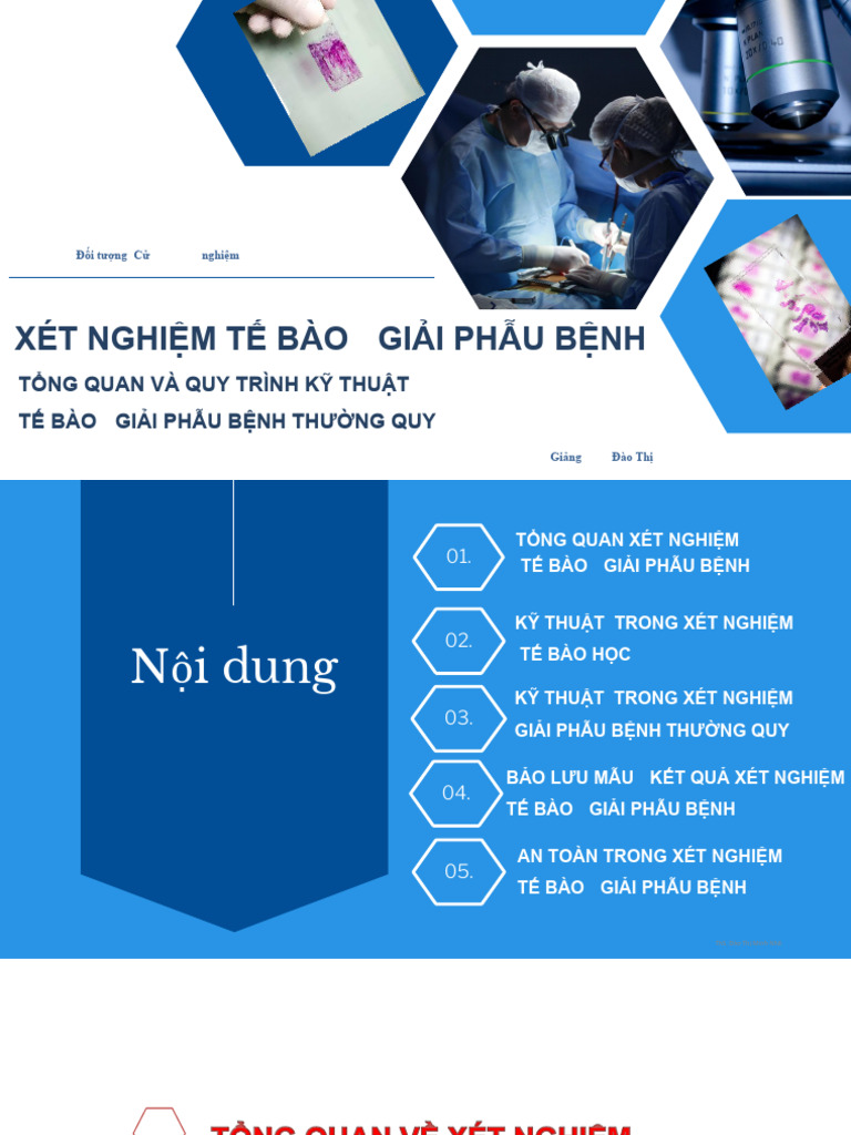 QUY%20TR%C3%8CNH%20K%E1%BB%B8%20THU%E1%BA%ACT%20X%C3%89T%20NGHI%E1%BB ...