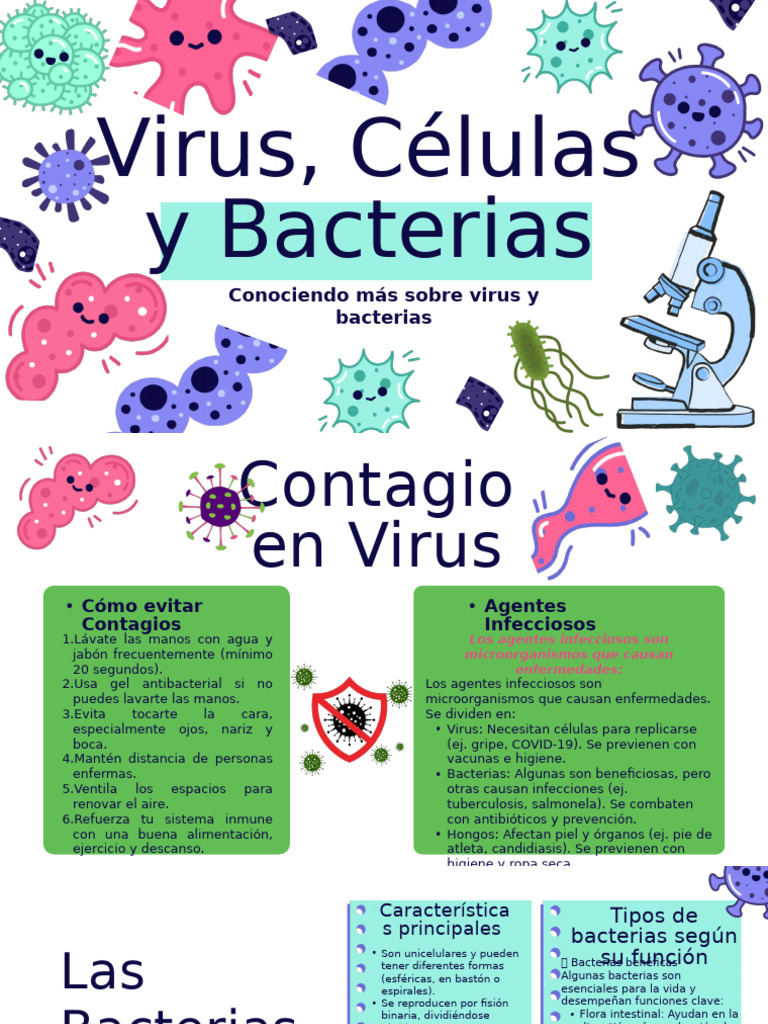 Prevención de Virus y Bacterias | PDF | Las bacterias | Médula ósea