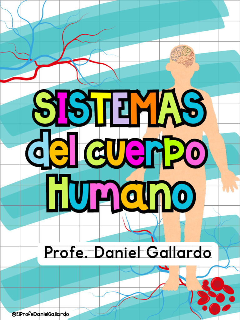 Sistemas del Cuerpo Humano Explicados | PDF
