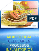 CITOLOGIA Atlas Citologia Cervicoganal
