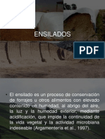 ENSILADOS