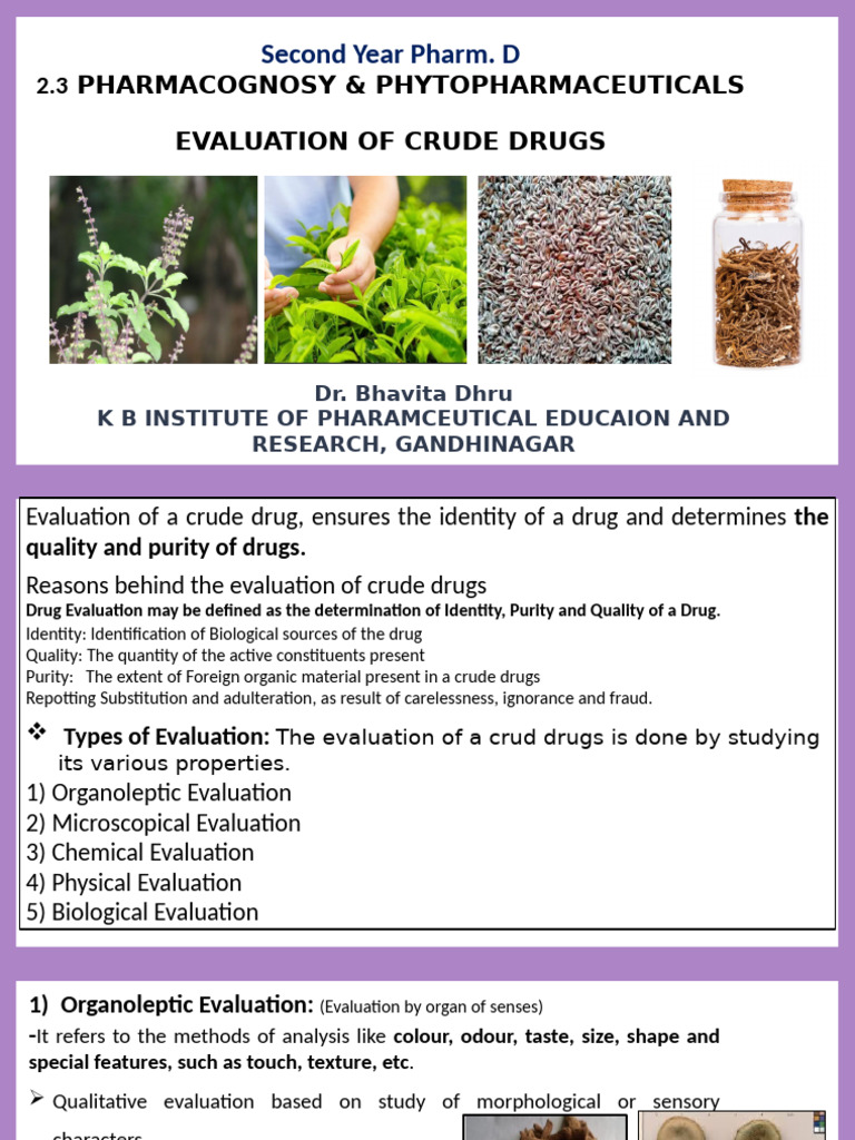 Evaluation Methods for Crude Drugs | PDF | Stoma | Leaf