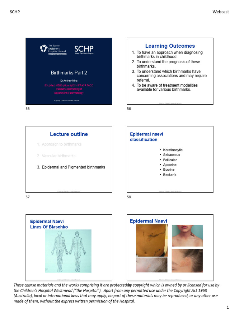 Understanding Childhood Birthmarks | PDF | Skin