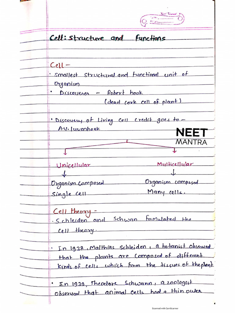 Cell Structure and Function | PDF