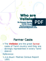 Who Are Vellalas