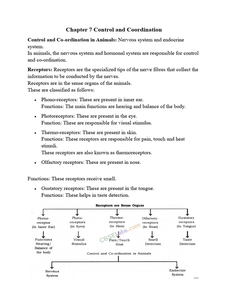 Control and Coordination Part 1 | PDF | Axon | Neuron