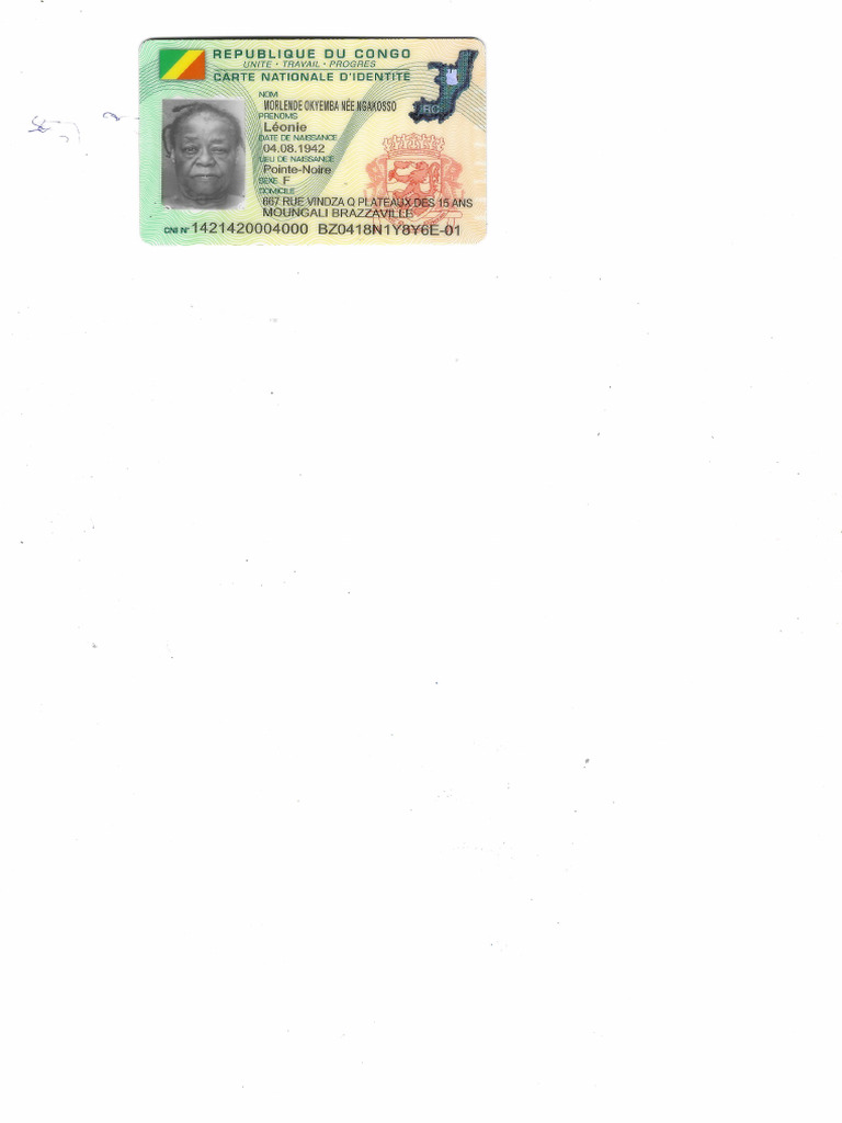 Scan Leonie Ident | PDF