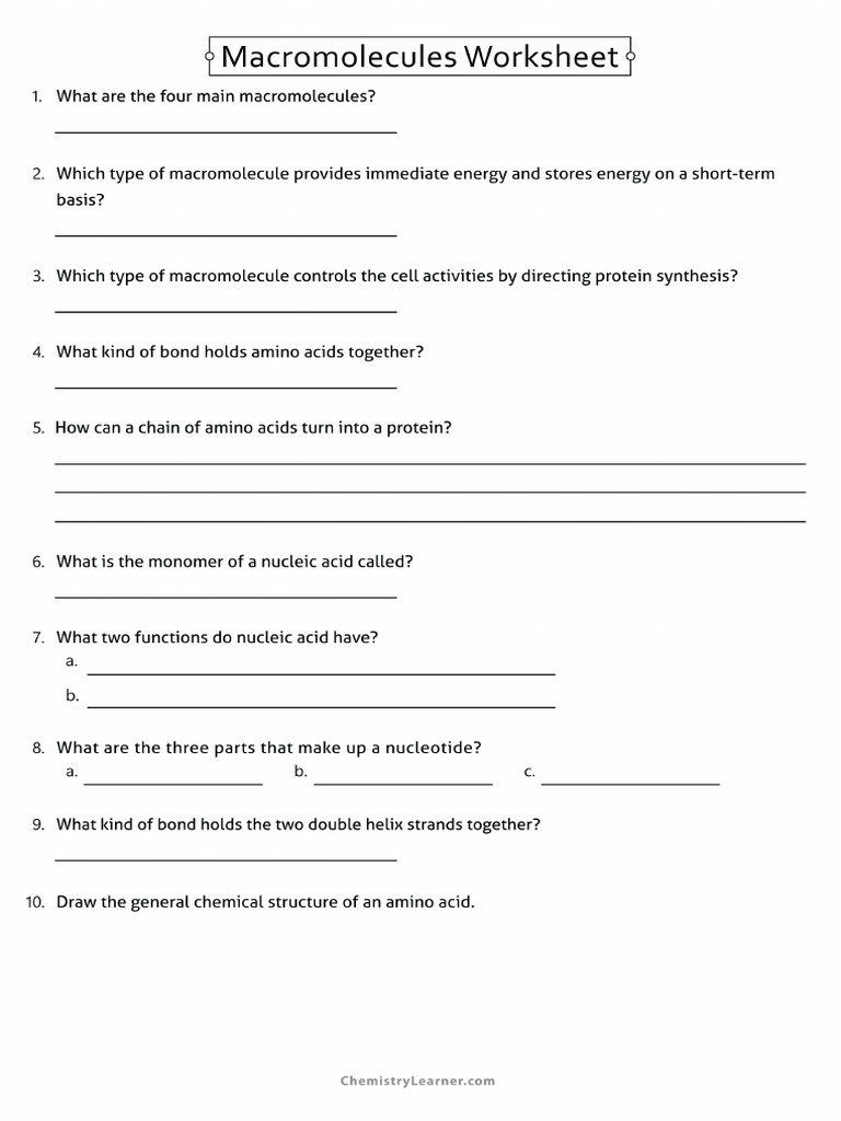 Organic Macromolecules Worksheet | PDF