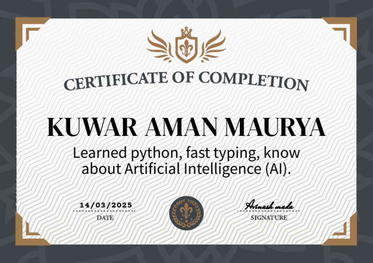 Python and AI Skills Overview | PDF