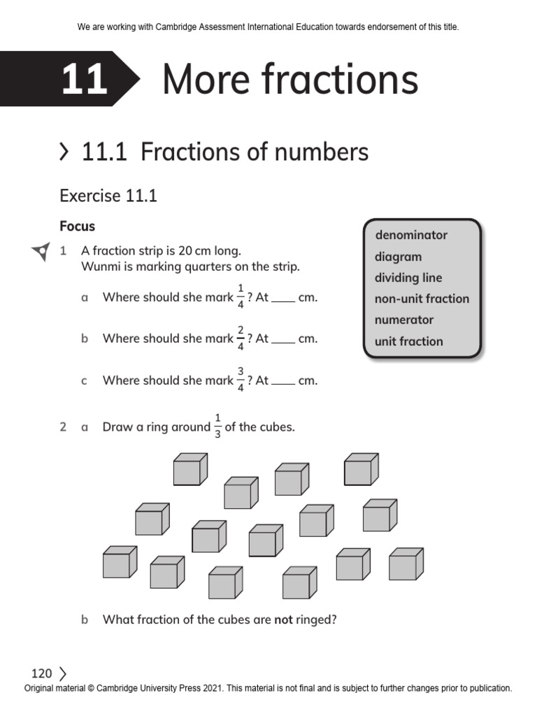 Grade 11 Fractions Exercises and Solutions | PDF | Mathematics | Arithmetic