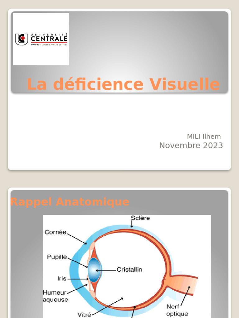 Comprendre la déficience visuelle | PDF | Acuité visuelle | Œil humain