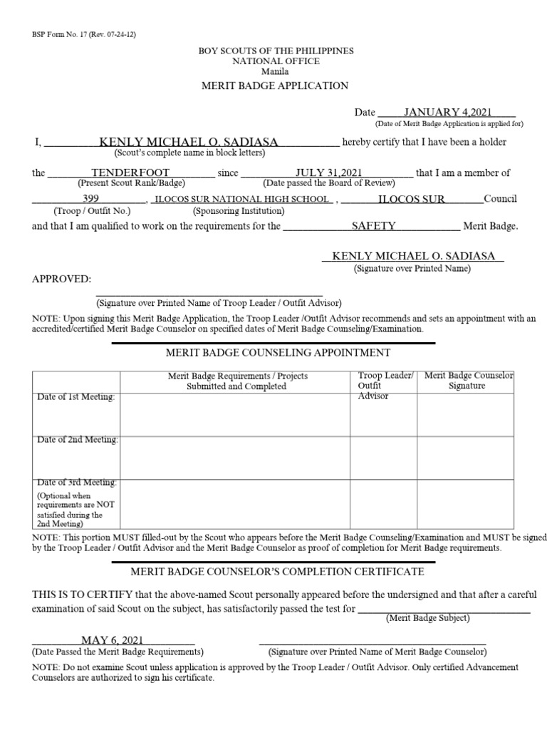 Merit Badge Application Form BSP 17 | PDF | Boy Scouts Of America ...
