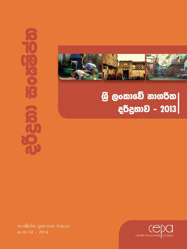 CEPA Report Overview 2013 | PDF