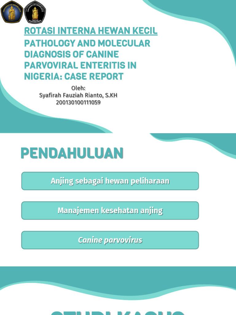 Digesti | PDF