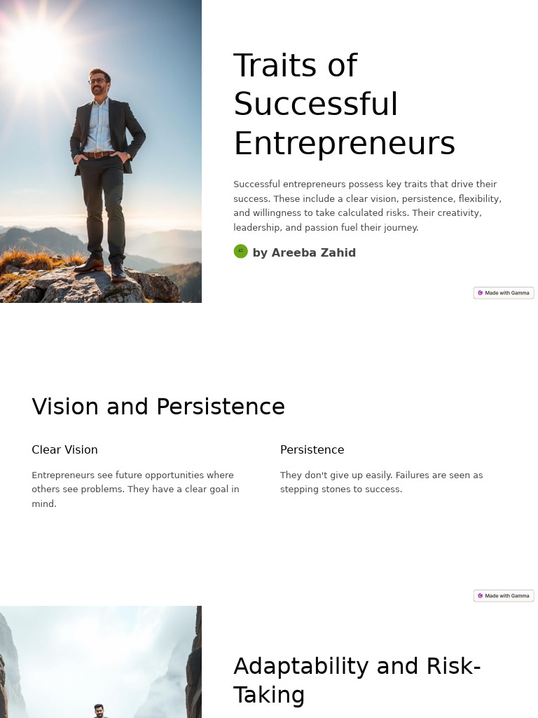 Traits Of Successful Entrepreneurs Pdf Entrepreneurship Leadership
