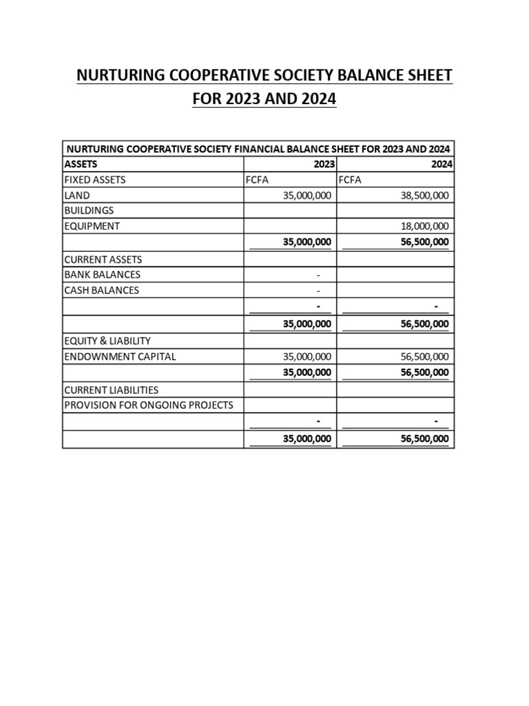 Nurturing Cooperative Society Balance Sheet | PDF