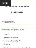 05 - Lesão de Tecidos Moles e Cicatrização