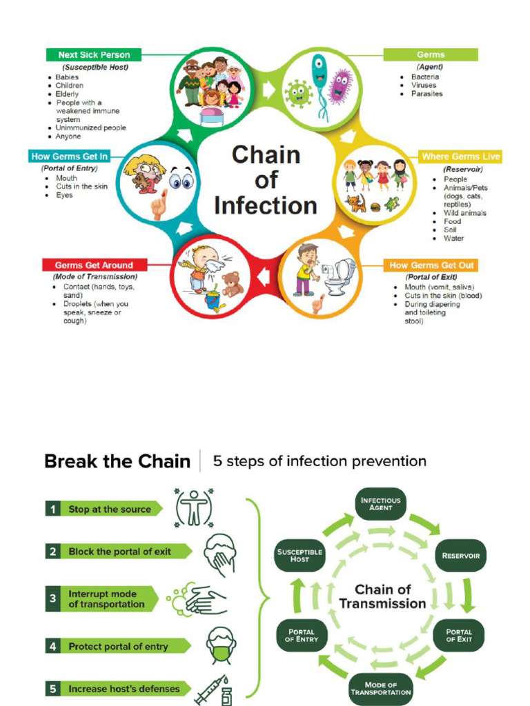 Chain of Infection SC | PDF