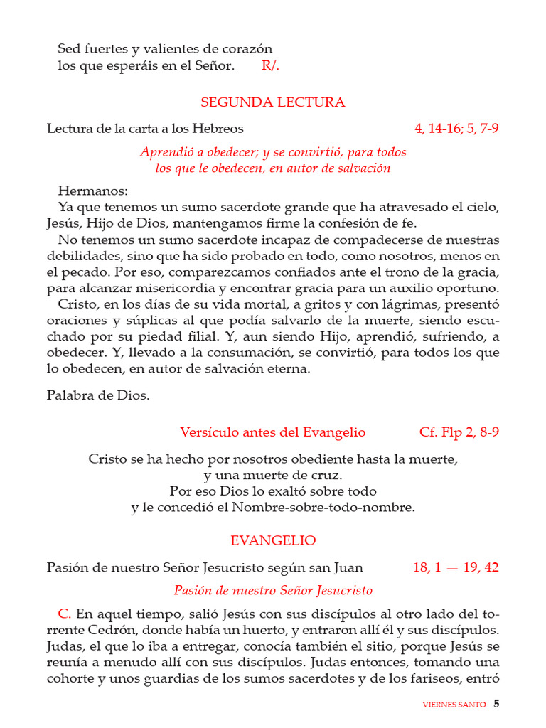 Reflexiones sobre la Pasión de Cristo | PDF | Jesús | Cristo (título)