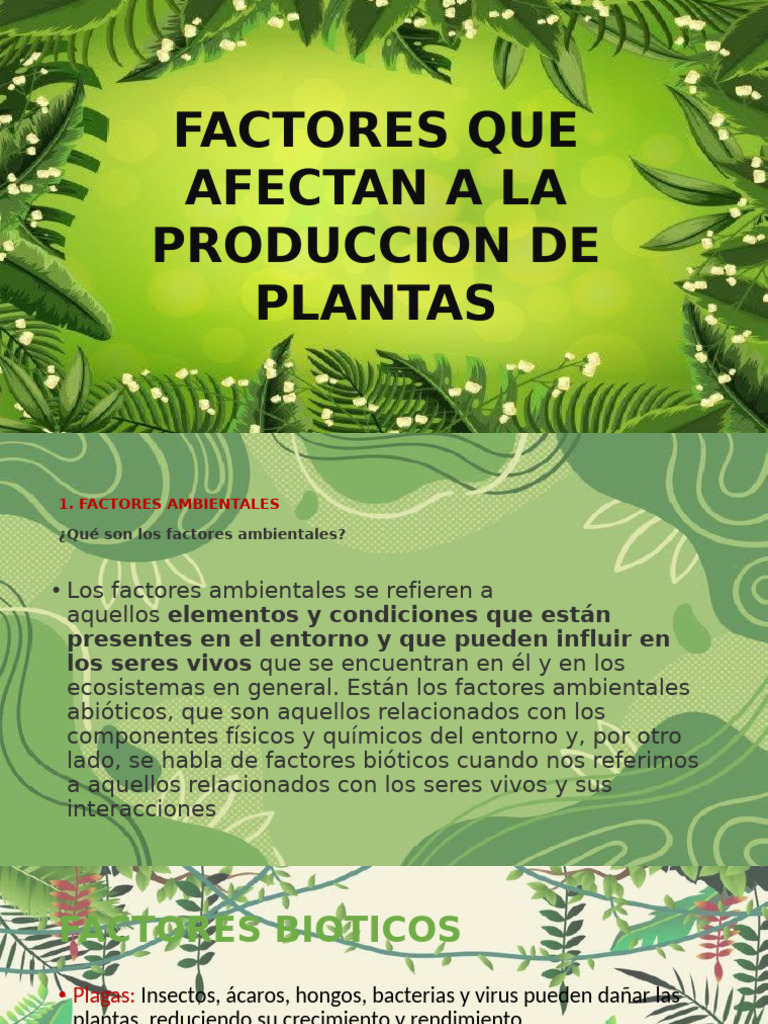 Factores que Afectan la Producción de Plantas | PDF | Agua | Suelo
