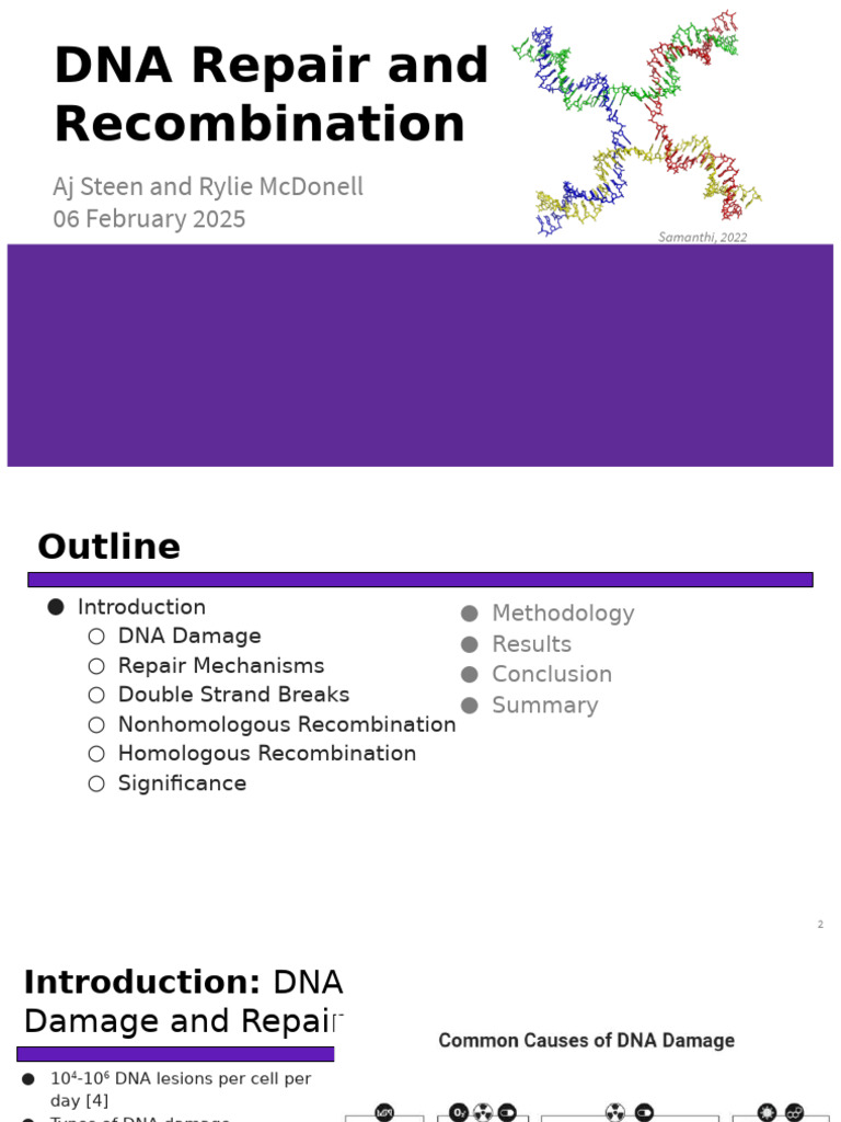 DNA Repair Mechanisms and Cancer Risk | PDF | Dna Repair | Dna