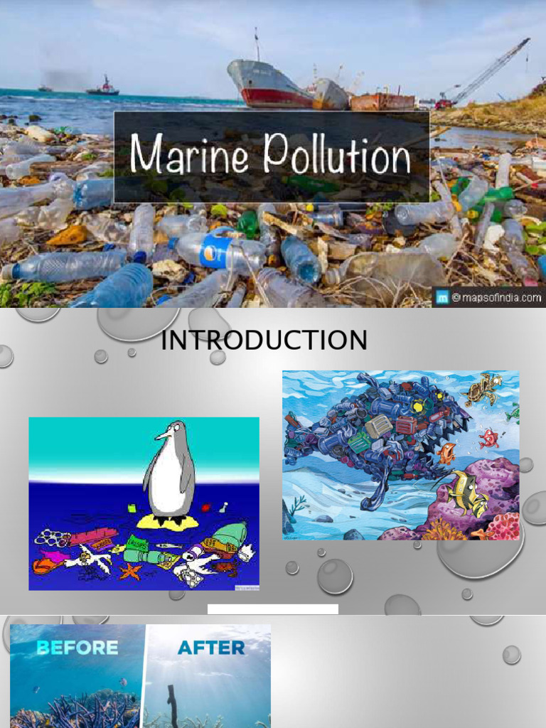 Types and Effects of Marine Pollution | PDF
