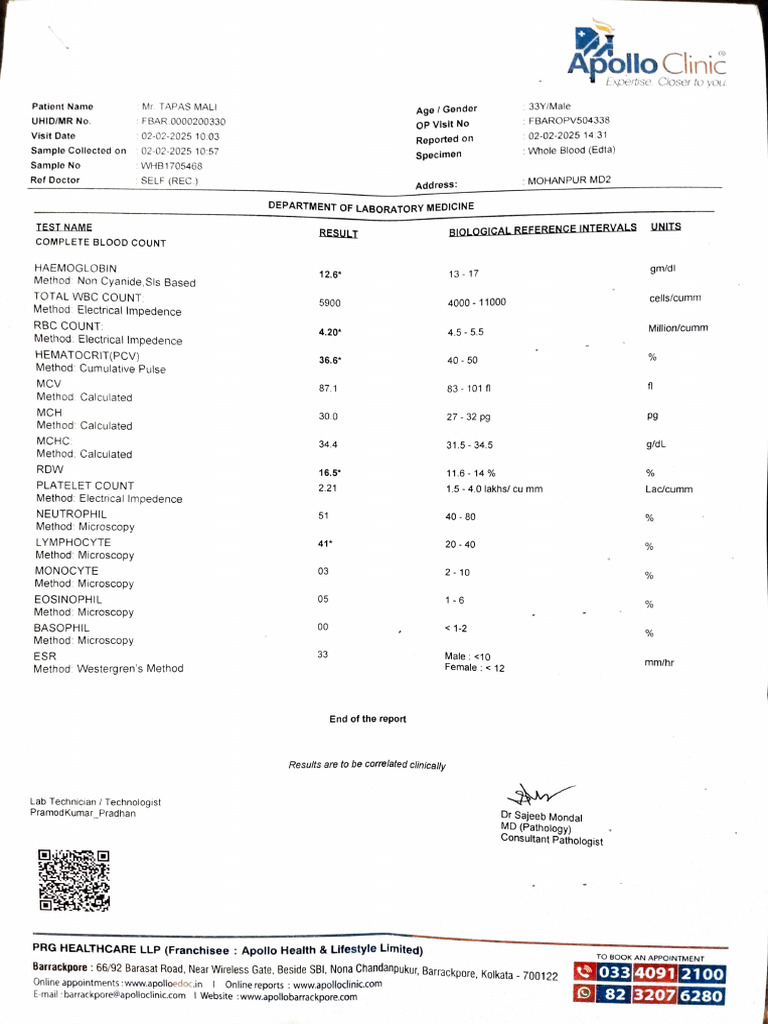 Basophil Count and Blood Test Results | PDF | Blood | Body Fluids