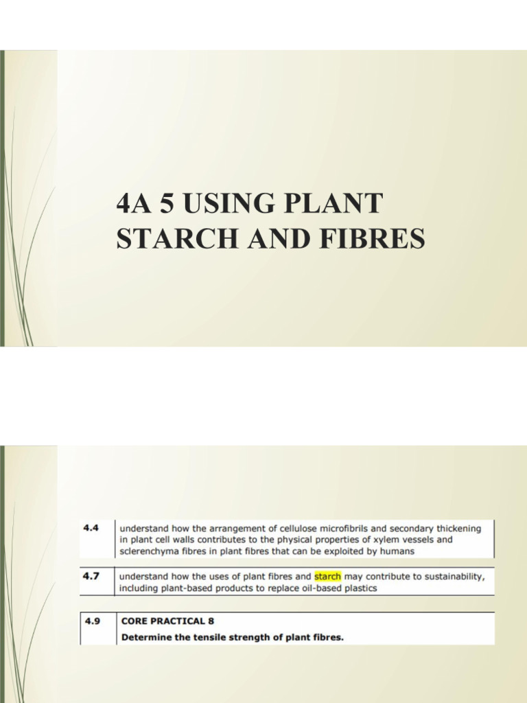 4A5 and 6 Fibers and Medicines | PDF