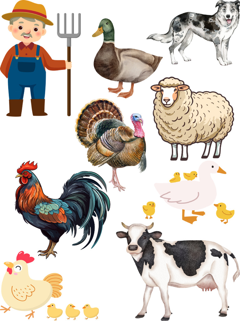 Rooster | PDF