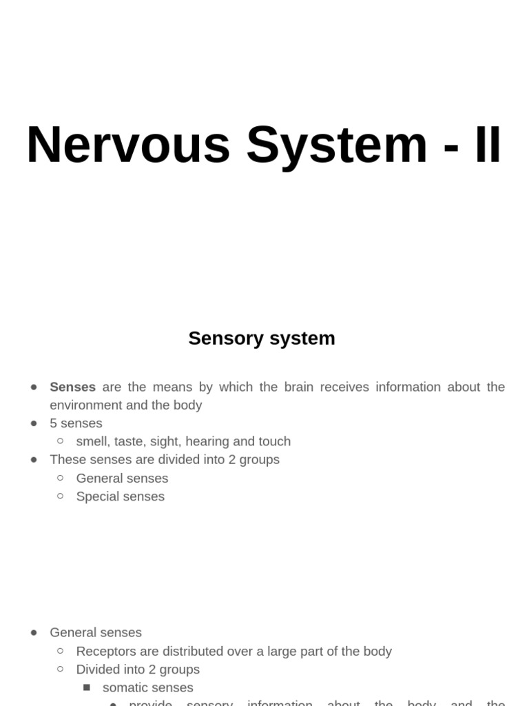 Overview of the Sensory System | PDF | Somatosensory System | Senses