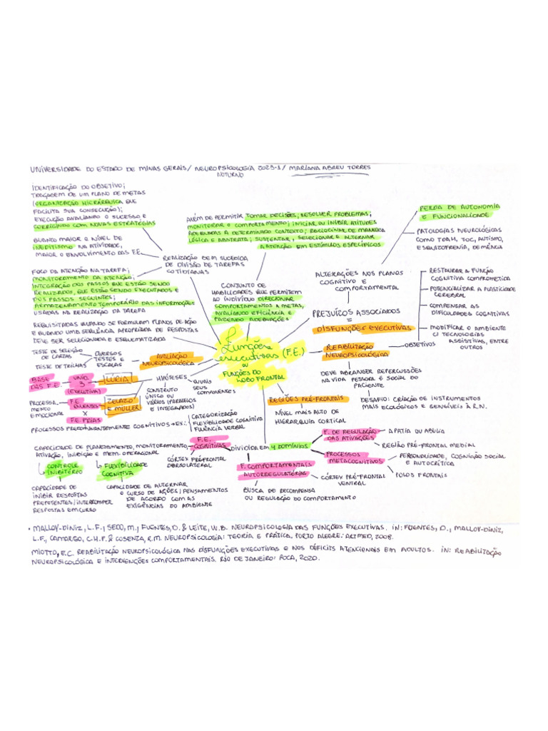 Mapa Mental Unidade 2 | PDF