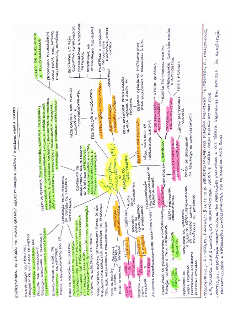 NEUROPSICOLOGIA NOTURNO - Unidade 2 - Mapa Mental FUNÇÕES EXECUTIVAS ...