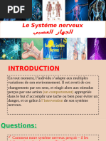 Définition de l'influx nerveux | PDF | Neurone | Système nerveux