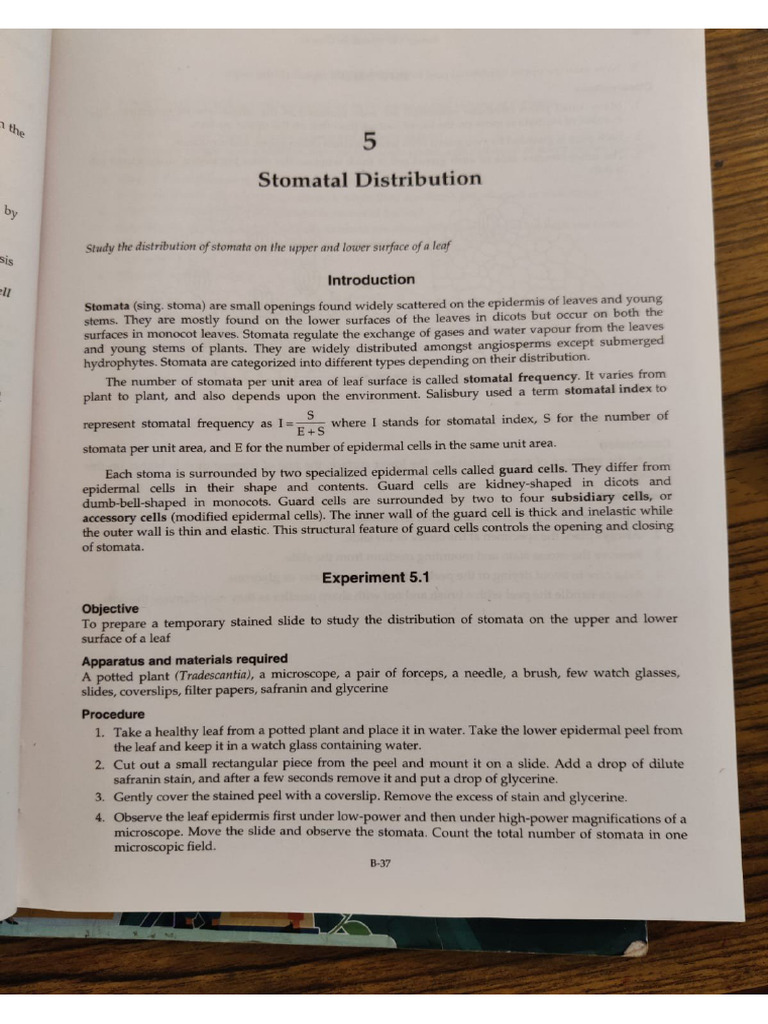 Experiment 9 | PDF